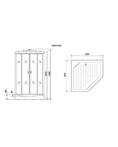 Душевая кабина Niagara Premium 100x100 NG-6002-01GD с гидромассажем