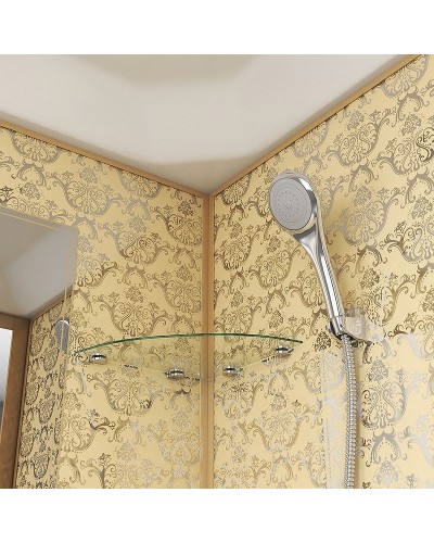 Душевая кабина Niagara Lux 100x100 NG-7702G без гидромассажа