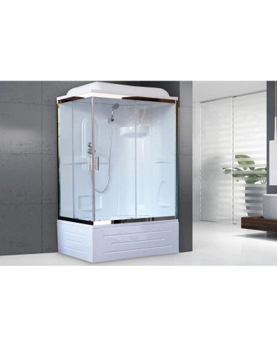 Душевая кабина 100х80х217 см Royal Bath RB8100BP1-T-CH-R прозрачное