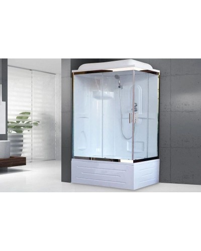 Душевая кабина 120х80х217 см Royal Bath RB8120BP1-T-CH-L прозрачное