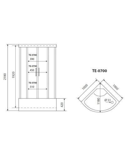 Душевая кабина 100x100x218 см Timo Eco TE-0700 P матовое