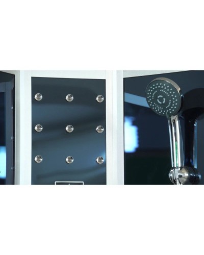 Душевая кабина 100x100x220 см Timo Standart T-1101 тонированное