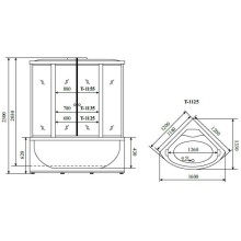 Душевая кабина 120x120x230 см Timo Standart T-1125 тонированное
