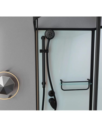 Душевая кабина 100x80x215 см Frank F418L Black 814014 прозрачное