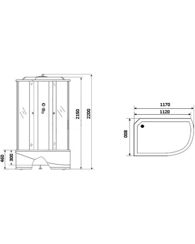 Душевая кабина 117х80х220 см Niagara NG-1910-01L тонированное