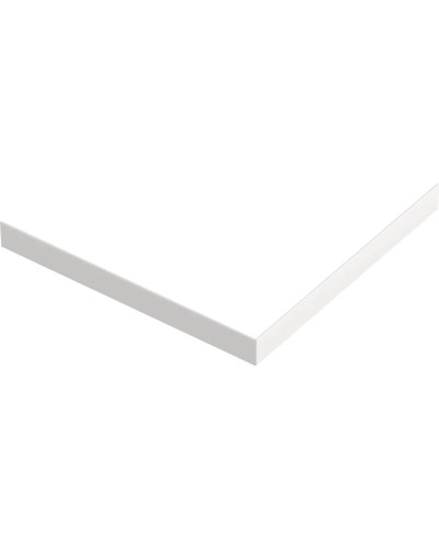 Панель фронтально-торцевая 100х100 см Good Door Essentia ЭЛ00138