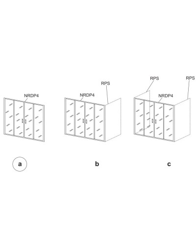 Душевые раздвижные двери Ravak Rapier NRDP4 170 сатин Grape 0ONV0U00ZG