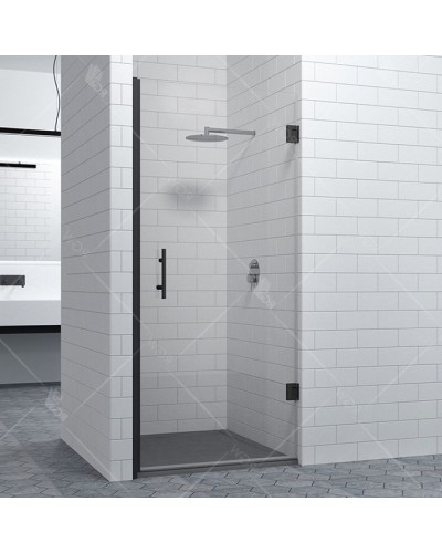 Душевая дверь RGW Hotel HO-011B 70 350601107-14 профиль Черный стекло прозрачное