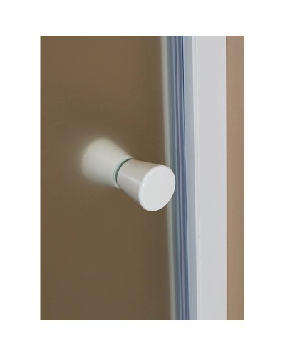 Душевая дверь распашная Cezares Rosa 60 см ROSA-BA-1-60-RO-Bi