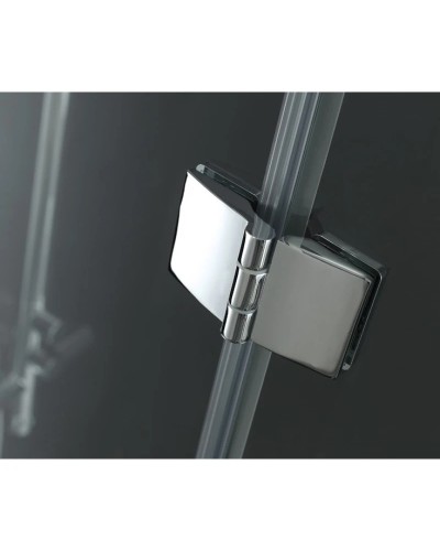 Душевая дверь распашная Cezares Verona 120 см прозрачное стекло VERONA-W-B-12-120-C-Cr