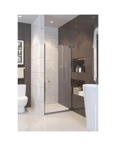 Душевая дверь распашная Alpen Alpina 100 см прозрачное стекло A100N-100