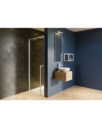 Душевая дверь Riho Lucid GD101 100х10 G005003121 (GD110B000) профиль Черный стекло прозрачное