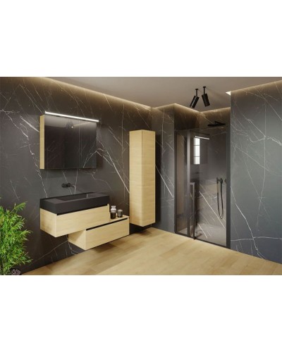 Душевая дверь Riho Lucid GD104 120х10 G005005121 (GD112B000) профиль Черный стекло прозрачное