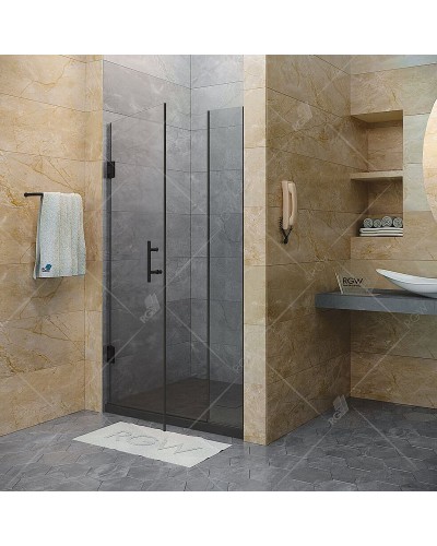 Душевая дверь RGW Hotel HO-012-B 90 350601209-14 профиль Черный стекло прозрачное
