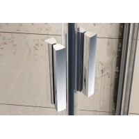 Душевая дверь Ravak Blix BLDP2-100 0PVA0100ZG профиль Белый стекло Grape