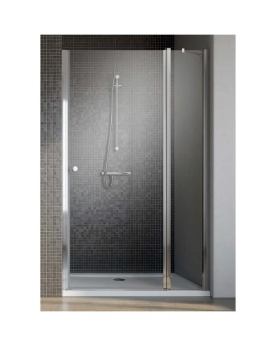 Душевая дверь Radaway EOS II DWJ 110 R прозрачное