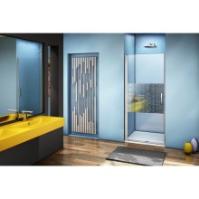 Душевая дверь 100 см Good Door Fantasy DR-100-F-CH прозрачный с рисунком