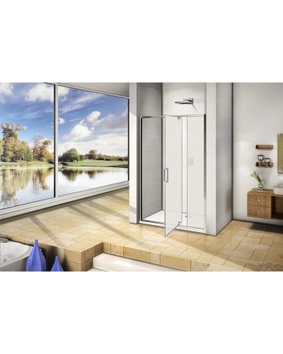 Душевая дверь 110 см Good Door Orion WTW-PD-110-G-CH grape