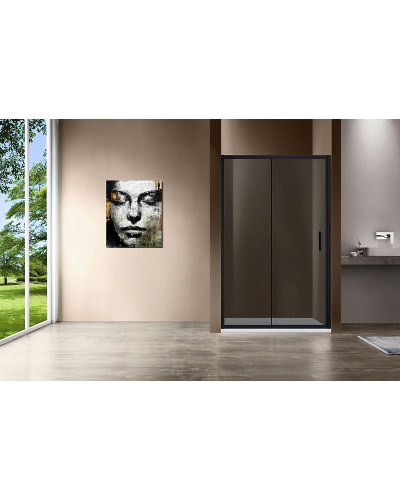 Душевая дверь Vincea Garda 120 VDS-1G120CGB профиль Черный стекло тонированное