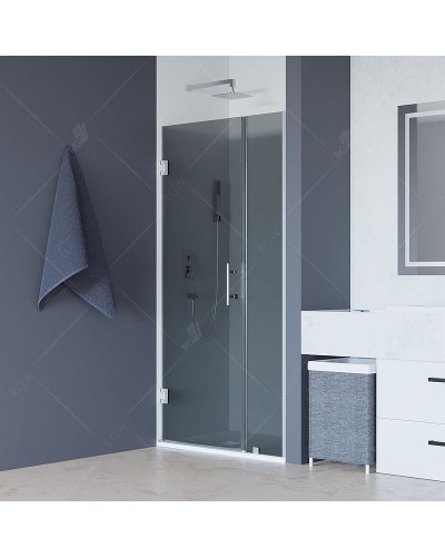 Душевая дверь RGW Hotel HO-012 90 350601209-31 профиль Хром стекло тонированное