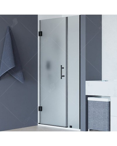 Душевая дверь RGW Hotel HO-012B 120 350601212-24 профиль Черный стекло матовое-сатинат