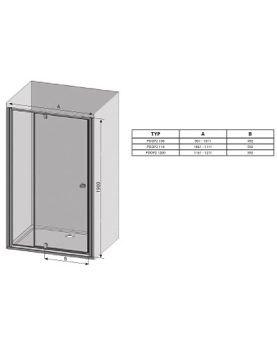 Душевая дверь Ravak Pivot PDOP2-100 03GA0101Z1 профиль Белый ручка Белая стекло Transparent