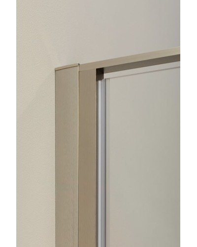 Душевая дверь Allen Brau Priority 100 3.31005.BA профиль Серебро брашированное стекло прозрачное