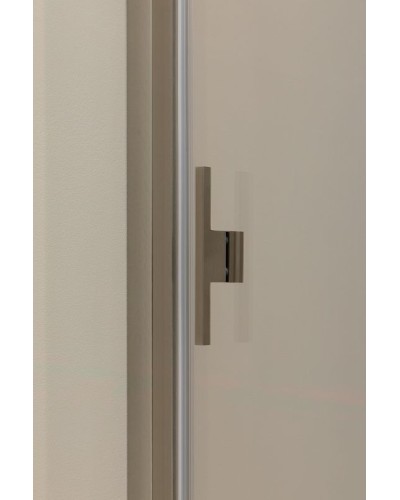 Душевая дверь Allen Brau Priority 100 3.31005.BA профиль Серебро брашированное стекло прозрачное