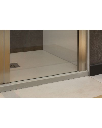 Душевая дверь Allen Brau Priority 100 3.31005.BA профиль Серебро брашированное стекло прозрачное