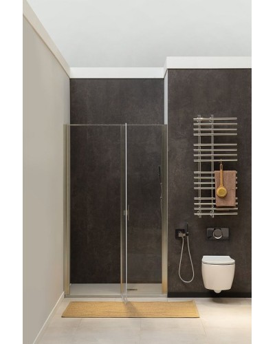 Душевая дверь Allen Brau Priority 100 3.31005.BA профиль Серебро брашированное стекло прозрачное