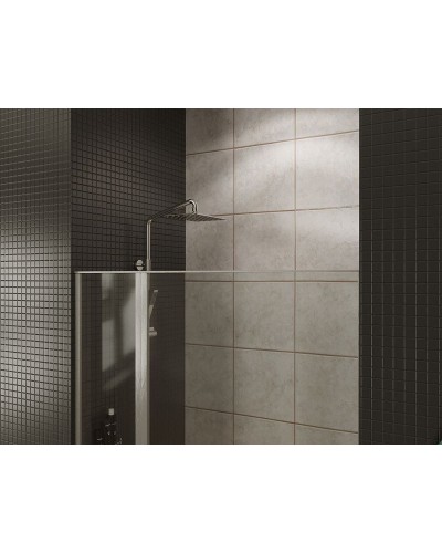 Душевая дверь Allen Brau Priority 100 3.31005.BA профиль Серебро брашированное стекло прозрачное