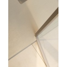 Душевая дверь Allen Brau Priority 120 3.31008.BA профиль Серебро брашированное стекло прозрачное