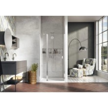 Душевая дверь Radaway Nes DWJ II 110 L прозрачное