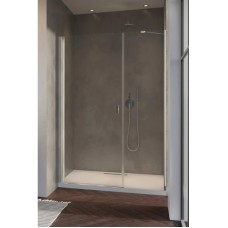 Душевая дверь Radaway Nes DWS 110 L прозрачное