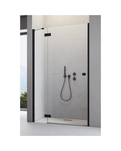 Душевая дверь Radaway Essenza New Black DWJ 110 L прозрачное