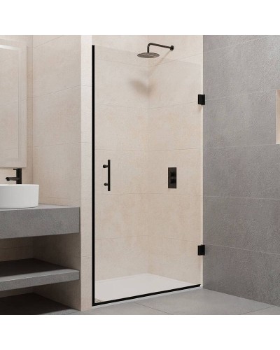 Душевая дверь RGW Passage PA-06 B 80 41080608-14 профиль Черный стекло прозрачное