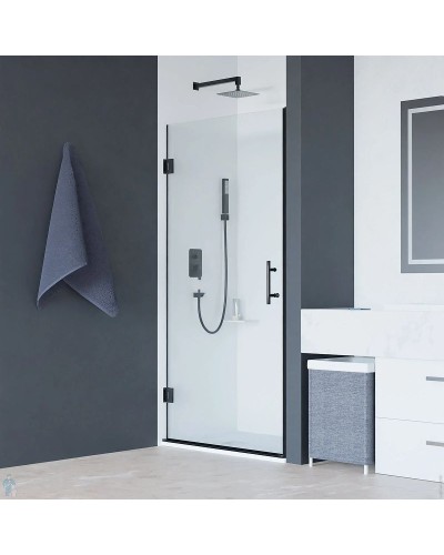 Душевая дверь RGW Hotel HO-011-B 90 350601109-14 профиль Черный стекло прозрачное