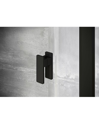 Душевая дверь Ravak Nexty NDOP2-120 03OG0300Z1 профиль Черный стекло Transparent