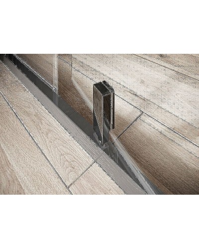 Душевая дверь Ravak Nexty NDOP2-120 03OG0C00Z1 профиль Хром стекло Transparent