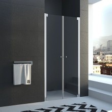 Душевая дверь 90 см Veconi Vianno VN58-90-01-19C2 прозрачное