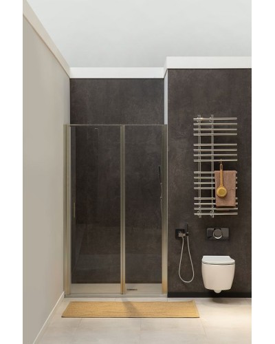 Душевая дверь Allen Brau Priority 120 3.31032.BA профиль Серебро браш стекло прозрачное