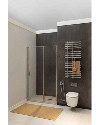 Душевая дверь Allen Brau Priority 120 3.31032.BA профиль Серебро браш стекло прозрачное