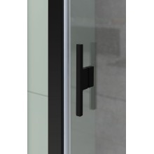 Душевая дверь Allen Brau Priority 160 3.31039.BBA профиль Черный браш стекло прозрачное