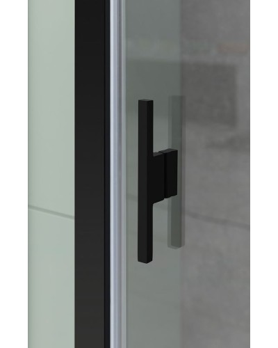 Душевая дверь Allen Brau Priority 160 3.31039.BBA профиль Черный браш стекло прозрачное