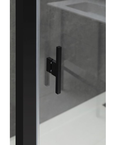 Душевая дверь Allen Brau Priority 160 3.31039.BBA профиль Черный браш стекло прозрачное