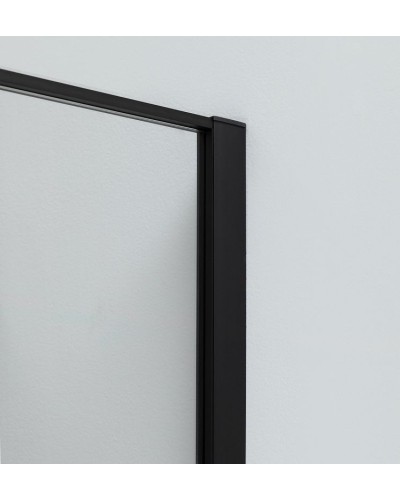 Душевая дверь Allen Brau Priority 160 3.31039.BBA профиль Черный браш стекло прозрачное