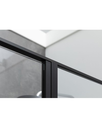 Душевая дверь Allen Brau Priority 160 3.31039.BBA профиль Черный браш стекло прозрачное