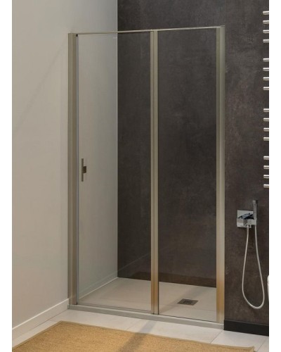 Душевая дверь Allen Brau Priority 160 3.31038.BA профиль Серебро браш стекло прозрачное