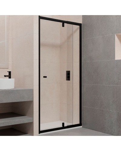 Душевая дверь RGW Passage PA-02B NEW 100 41080200-14 профиль Черный стекло прозрачное