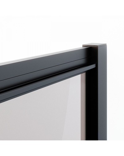 Душевая дверь Ambassador Forsa 100 17022216ABB профиль Черный стекло тонированное